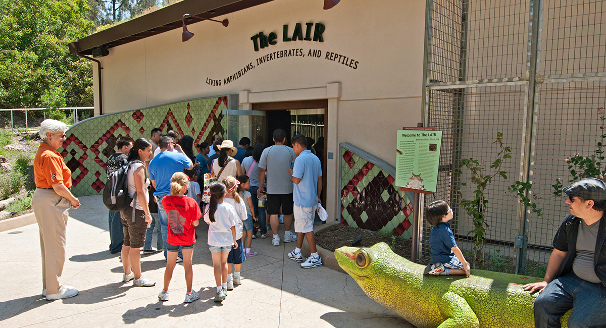 LA Zoo - Living Amphibians, Invertebrates and Reptiles