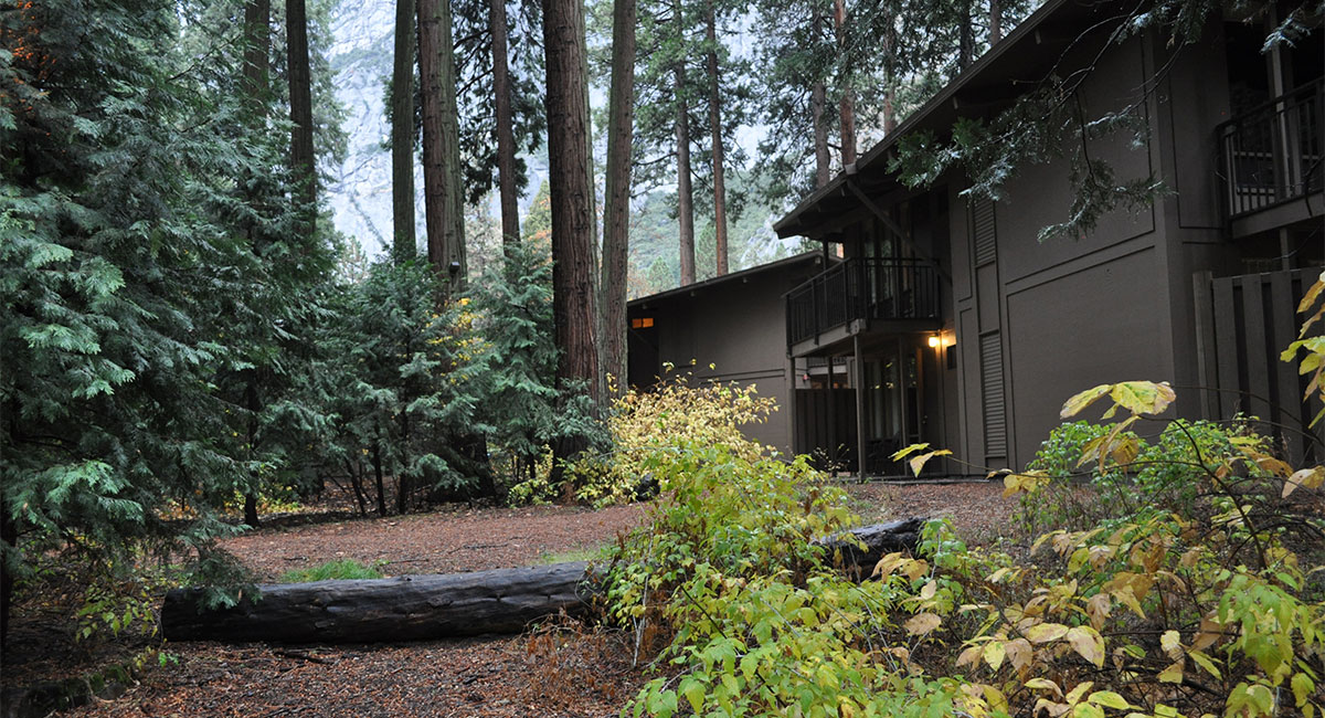 Yosemite Lodge Cultural Landscape Report