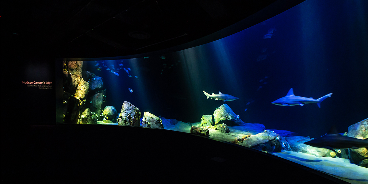 ASLA Cites Jaw-Dropping Aquariums