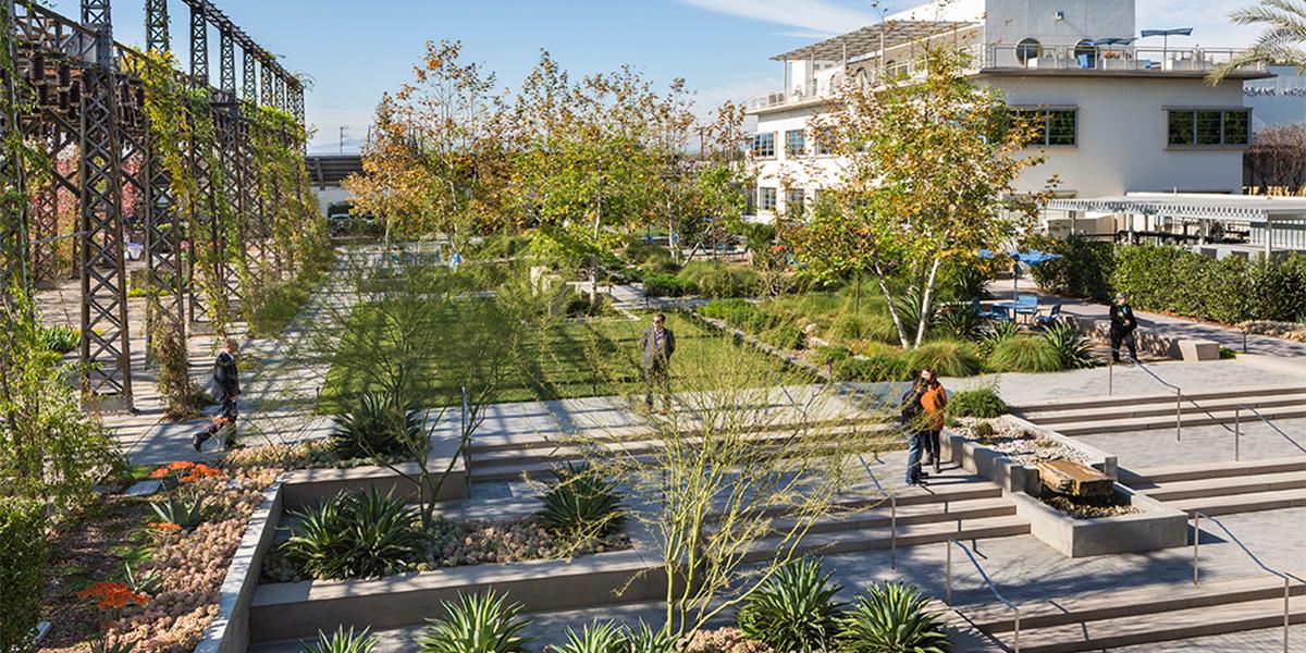 Ahbe Joins Mig Landscape Architects, Residential Landscape Architect San Antonio