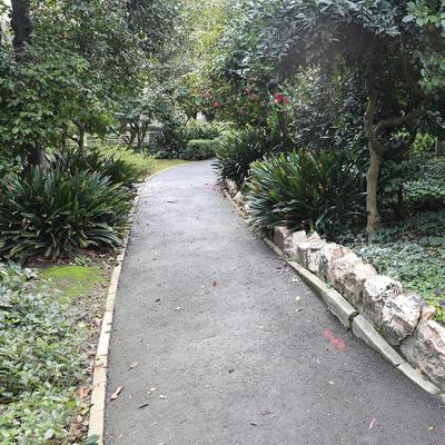 Capitol Park Landscape Treatment Report 