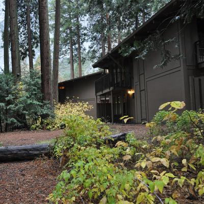 Yosemite Lodge Report