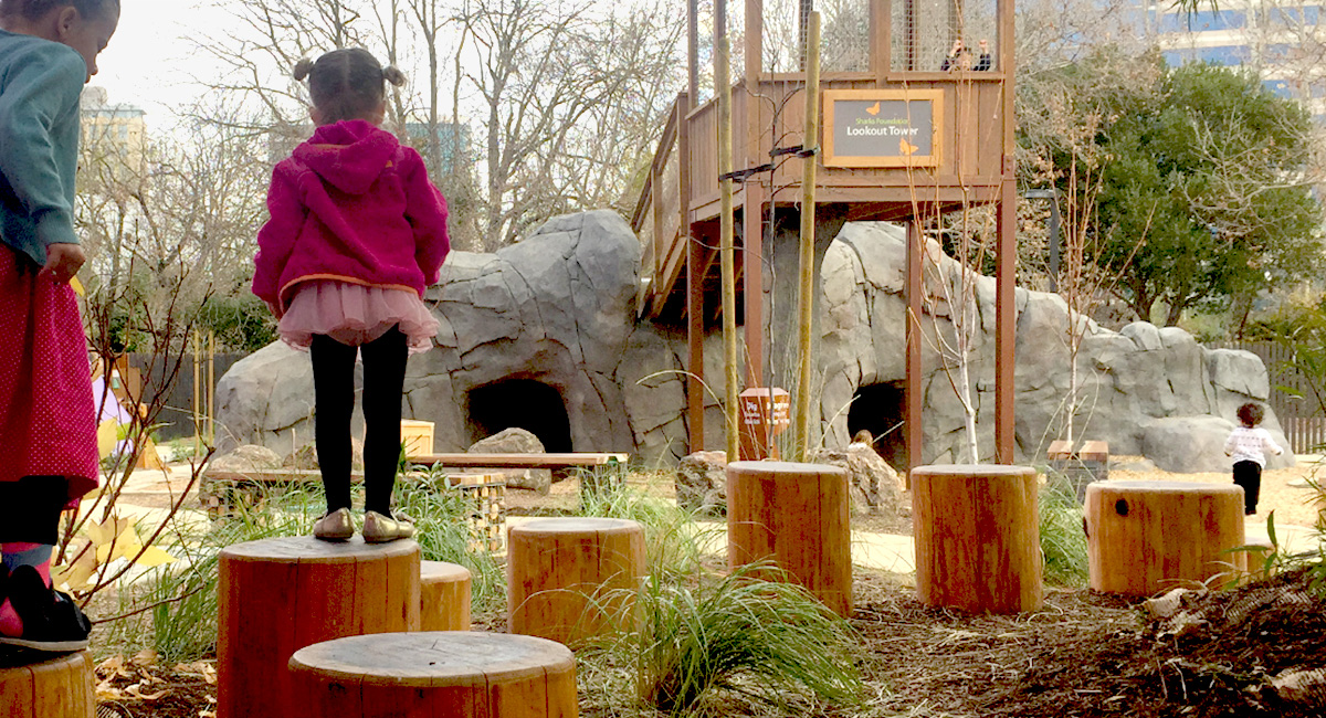 Bill’s Backyard Play Area