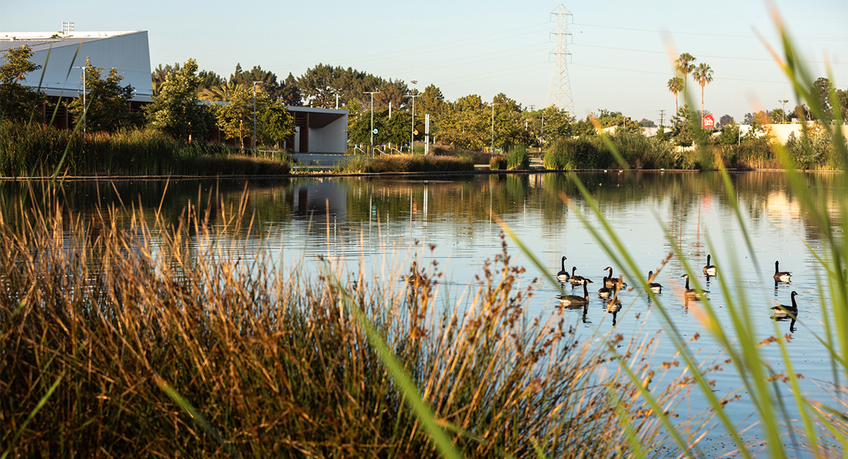 Magic Johnson Park