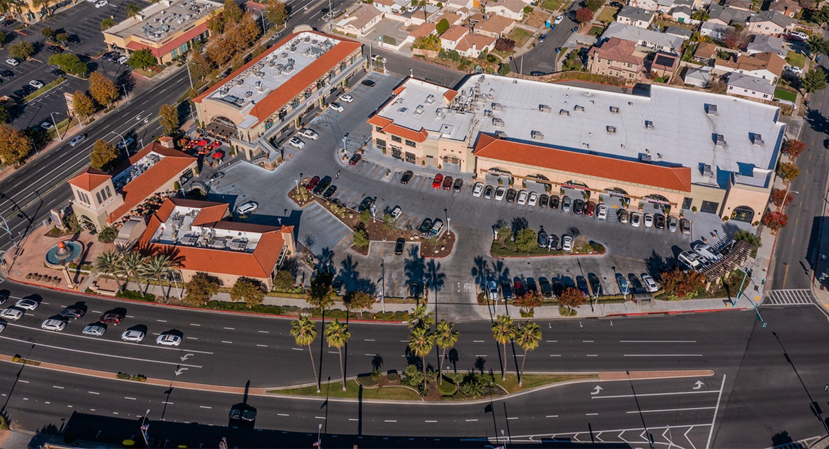 Camellia Square