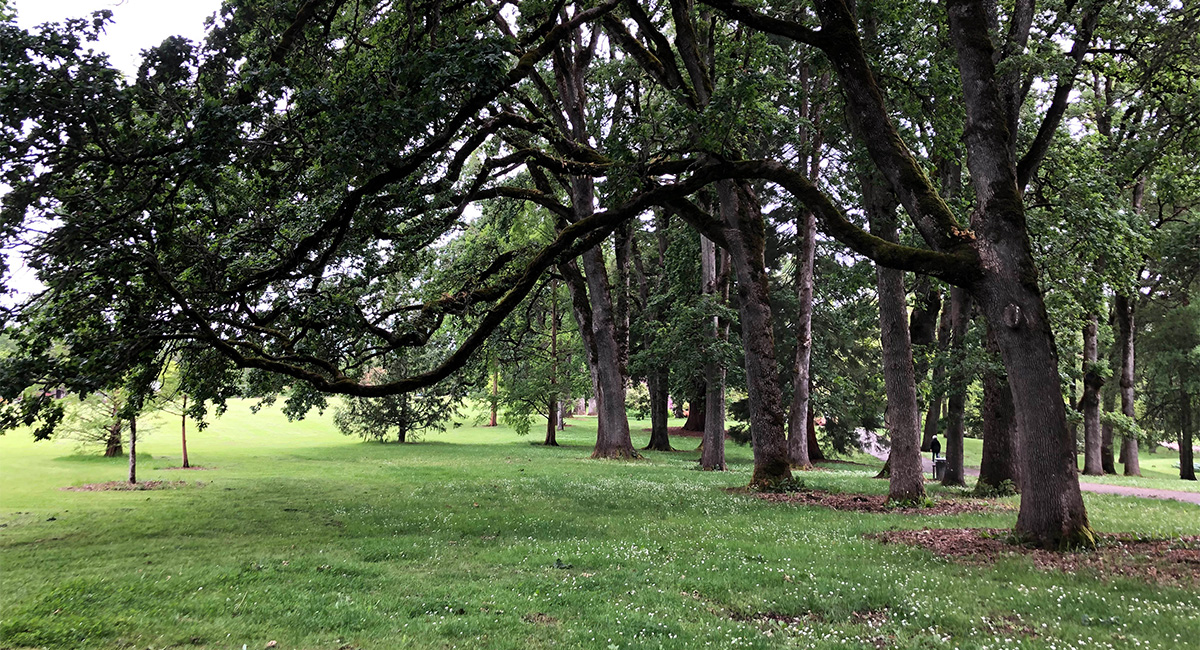 Bush's Pasture Park Cultural Landscape Management Plan