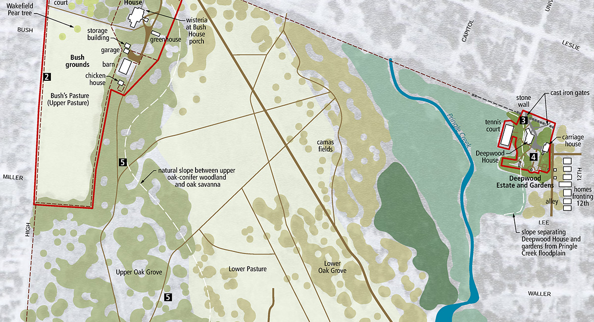 Bush's Pasture Park Cultural Landscape Management Plan