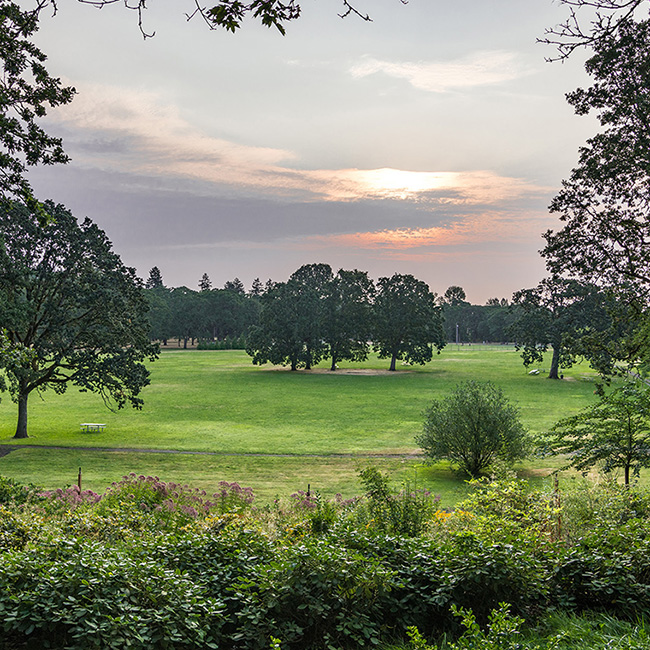 Bush's Pasture Park