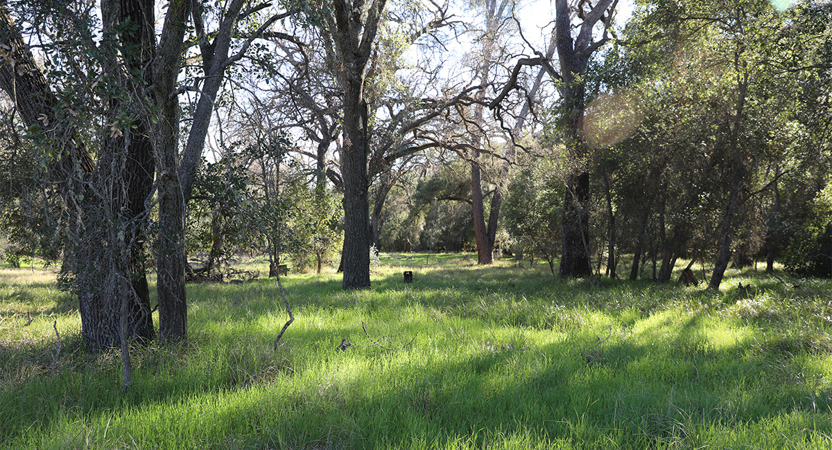Bacon Ranch Cultural Landscape Report
