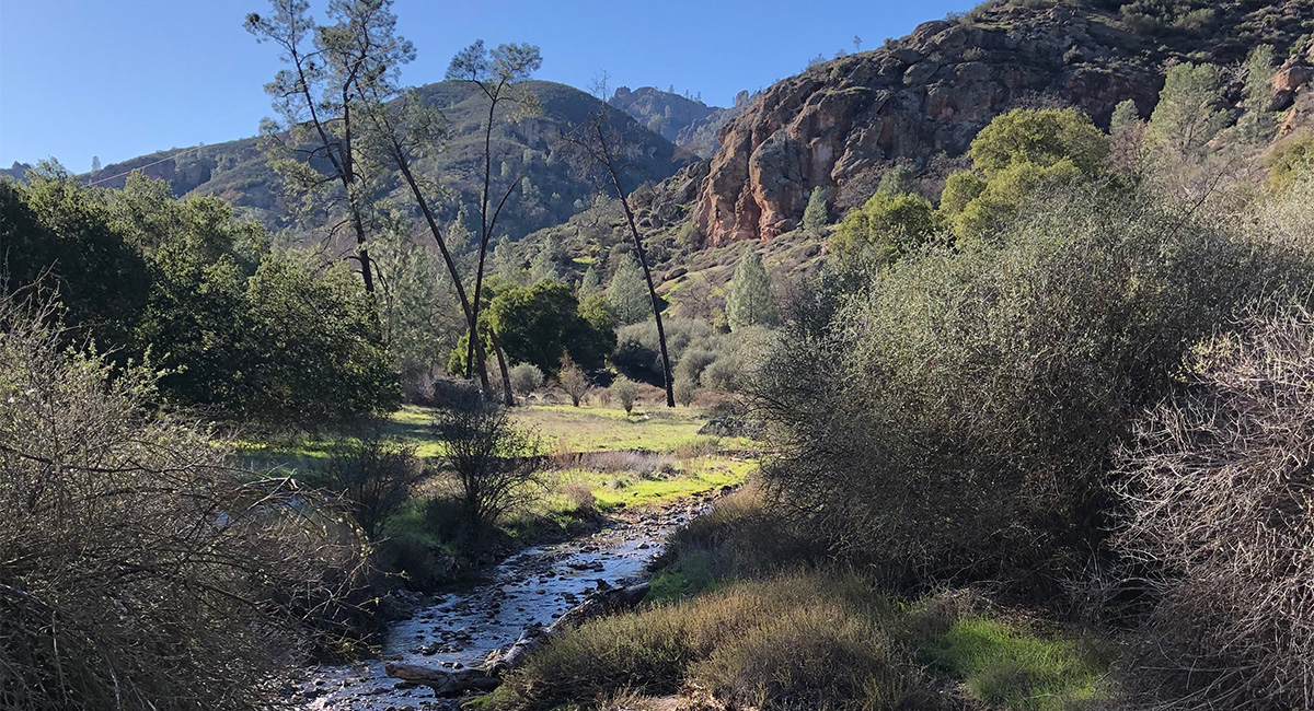 Bear Gulch Cultural Landscape Report