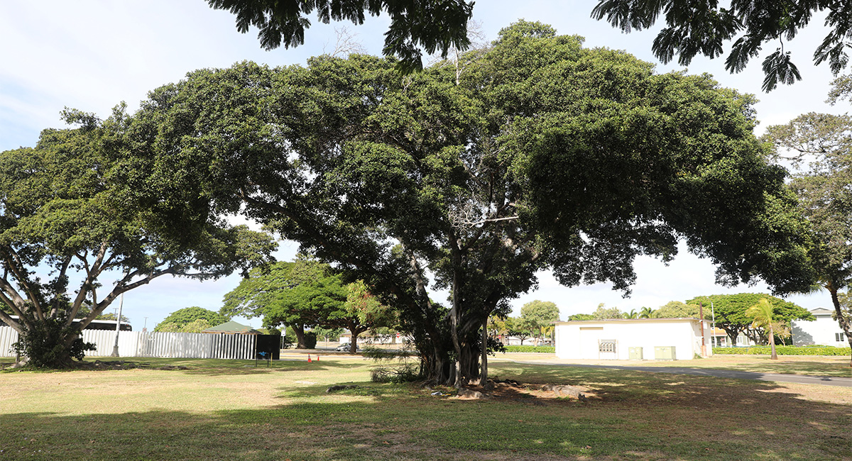 Pearl Harbor Chief Petty Officers' Neighborhood HALS