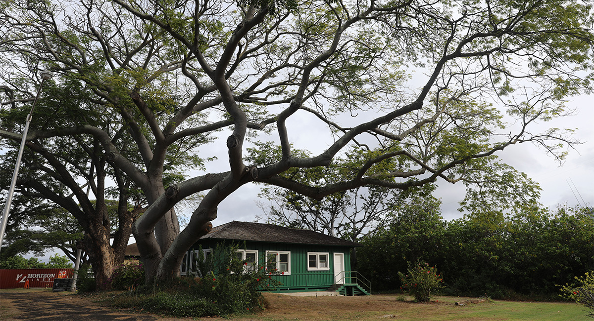 Pearl Harbor Chief Petty Officers' Neighborhood HALS