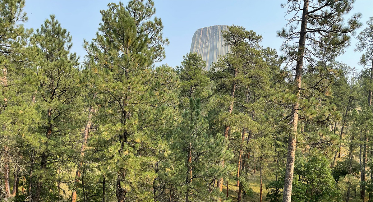 Bear Lodge Cultural Landscape Report