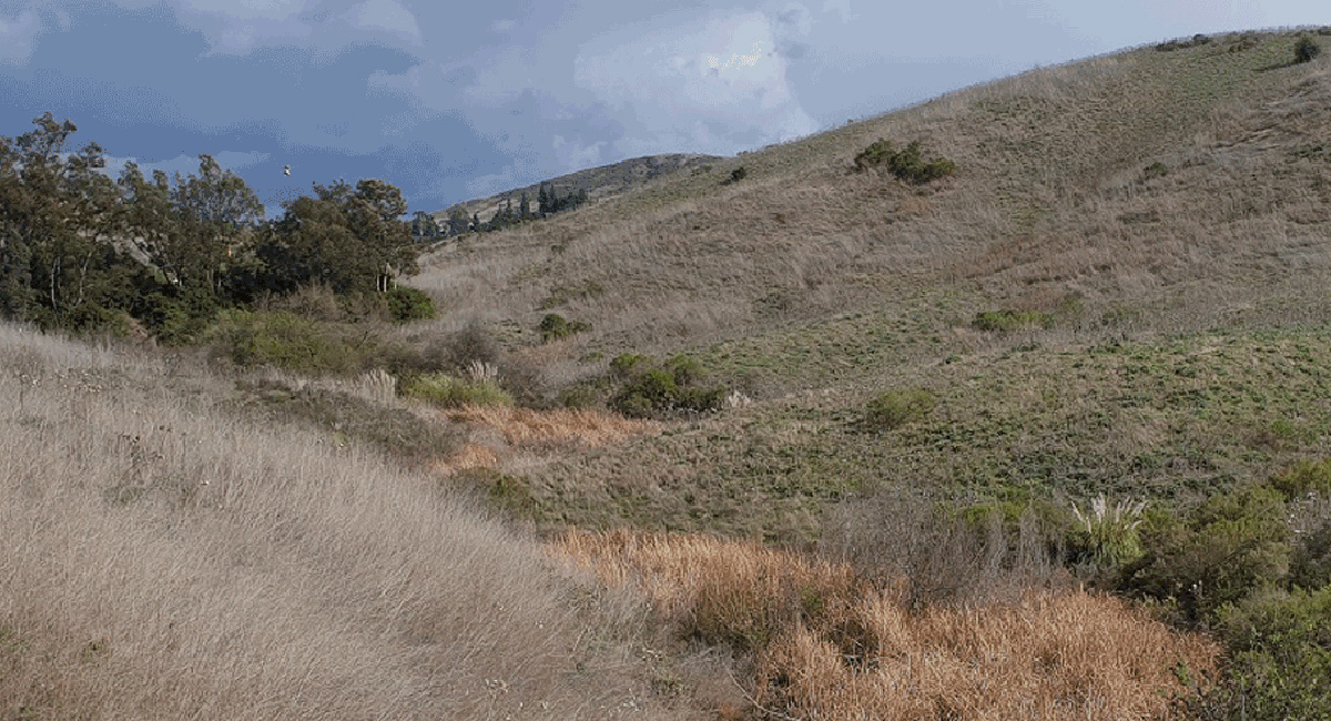 Laguna Niguel Open Space Inventory