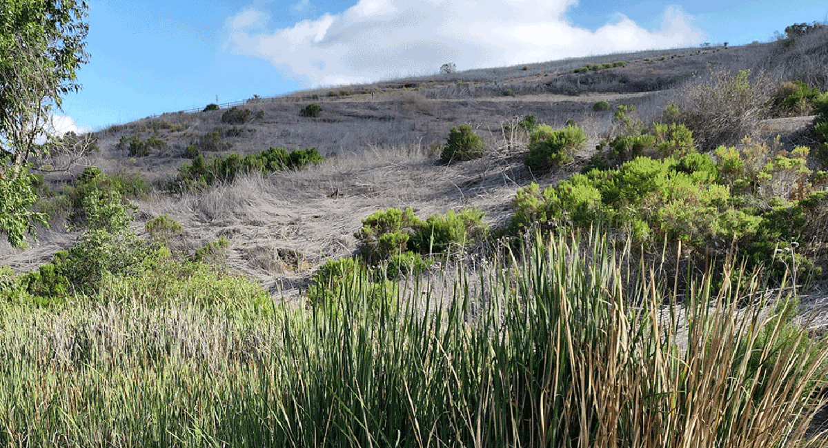 Laguna Niguel Open Space Inventory