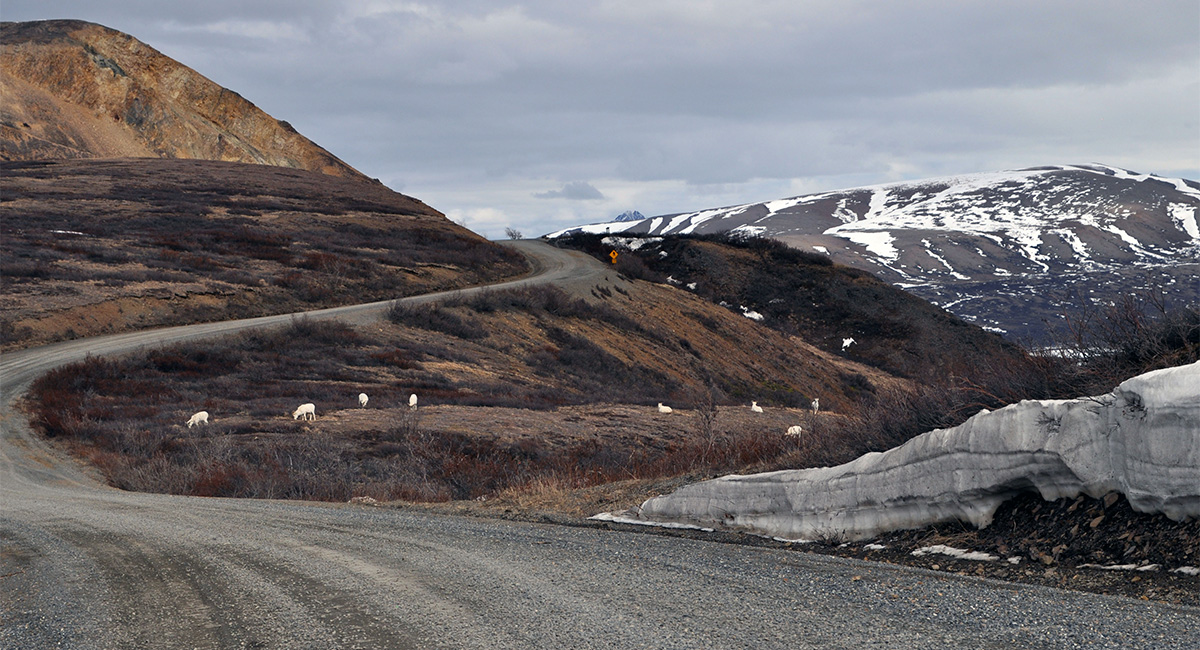 Mt. McKinley Park Road