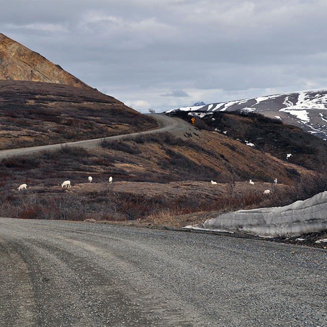 Mt. McKinley Park Road Historic