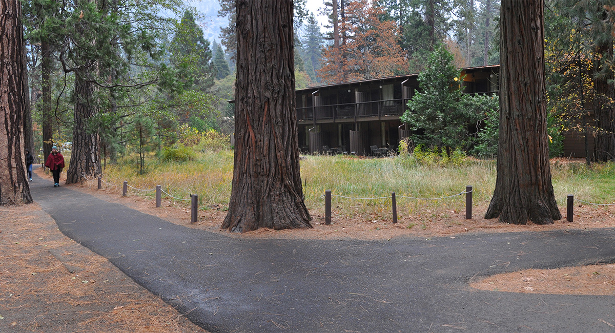 Yosemite Lodge Cultural Landscape Report