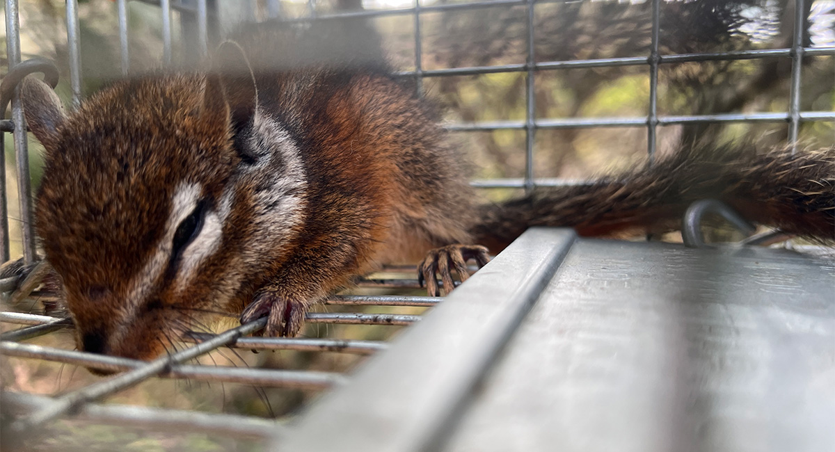 Environmentally Responsible Construction