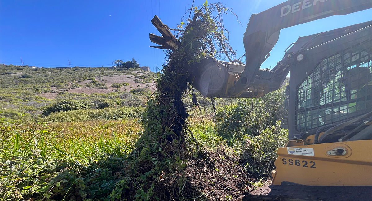 Environmentally Responsible Construction