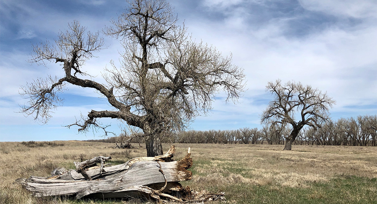 Sand Creek Massacre National Historic Site Cultural Landscape Inventory