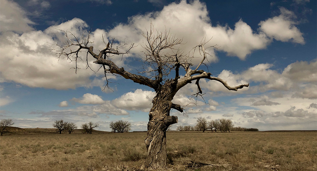 Sand Creek Massacre National Historic Site Cultural Landscape Inventory