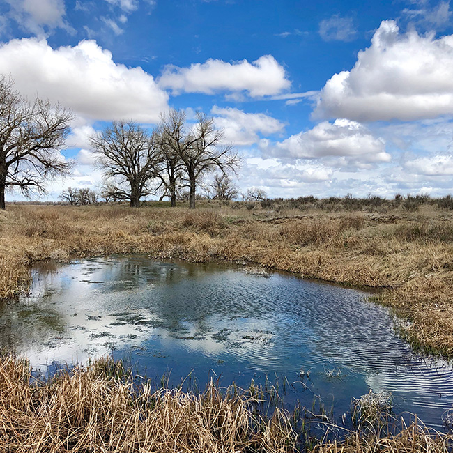 Sand Creek Massacre National Historic Site Cultural Landscape Inventory