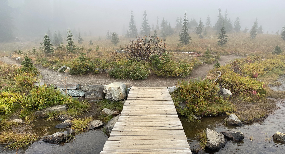 Tipsoo Lakes
