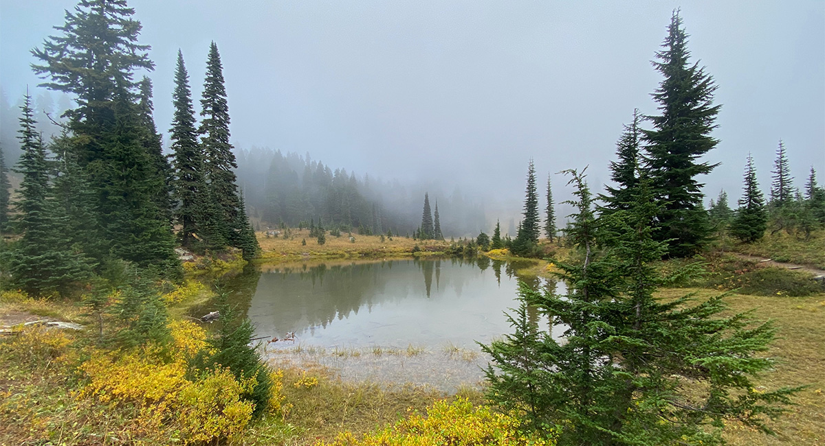 Tipsoo Lakes