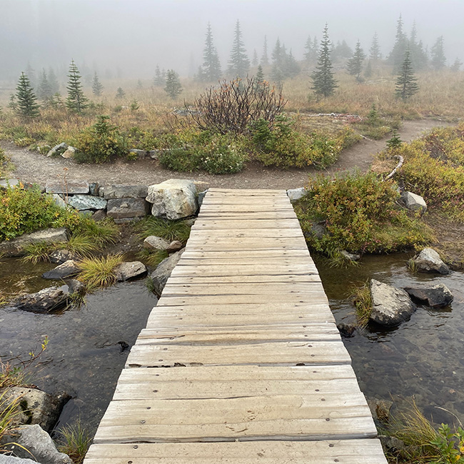 Tipsoo Lakes