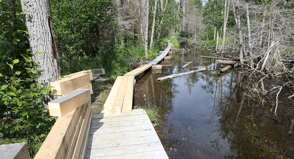 Chilkoot Trail Cultural Landscape Report