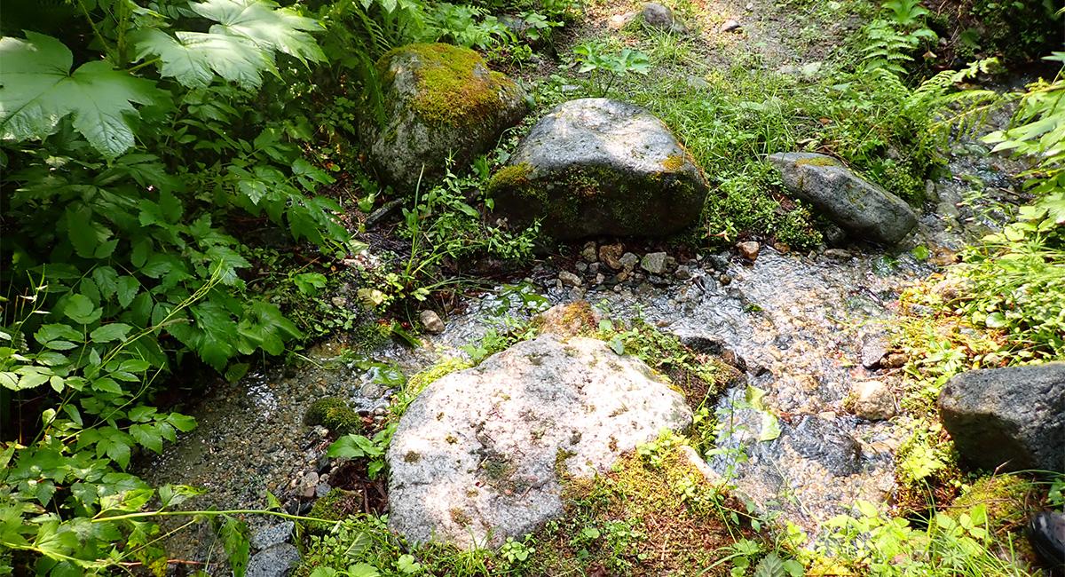 Chilkoot Trail Cultural Landscape Report