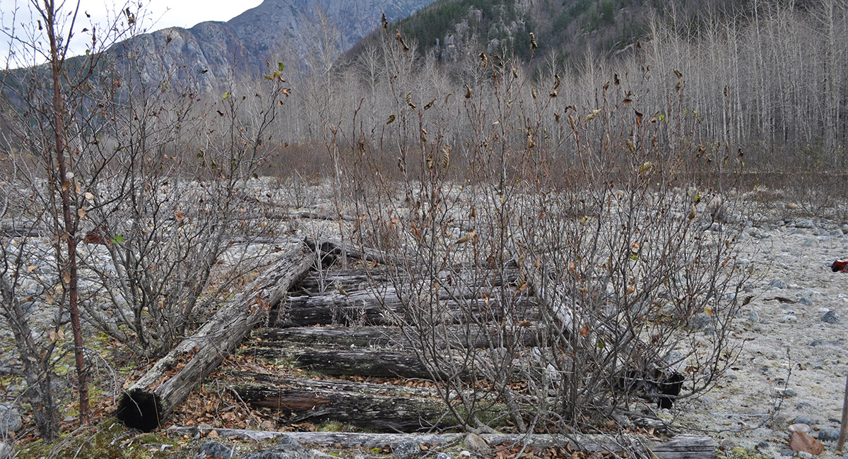 White Pass Historic Transportation System CLR