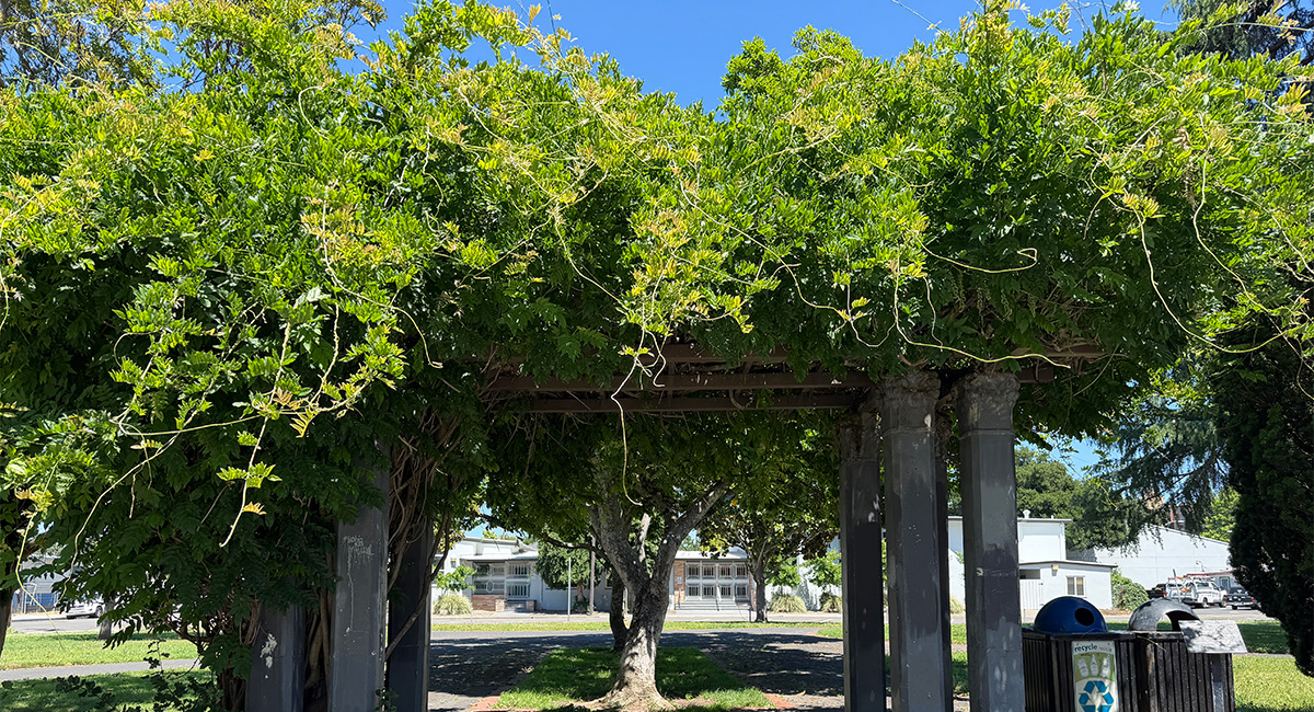 Fremont Park Historic Resource Study