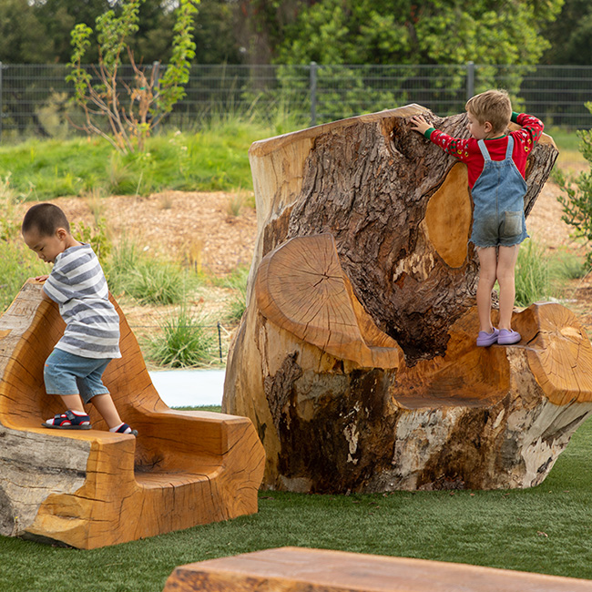 Rotary PlayGarden
